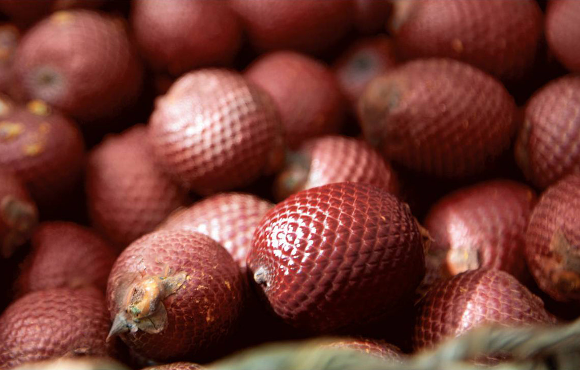 Buriti Fruit - A long time beauty secret from the Amazon