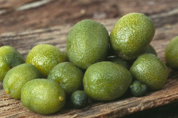 Revive dull & tired skin: From the outback to your glow