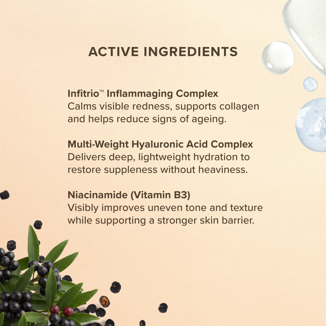 Moisture Renew Day Crème