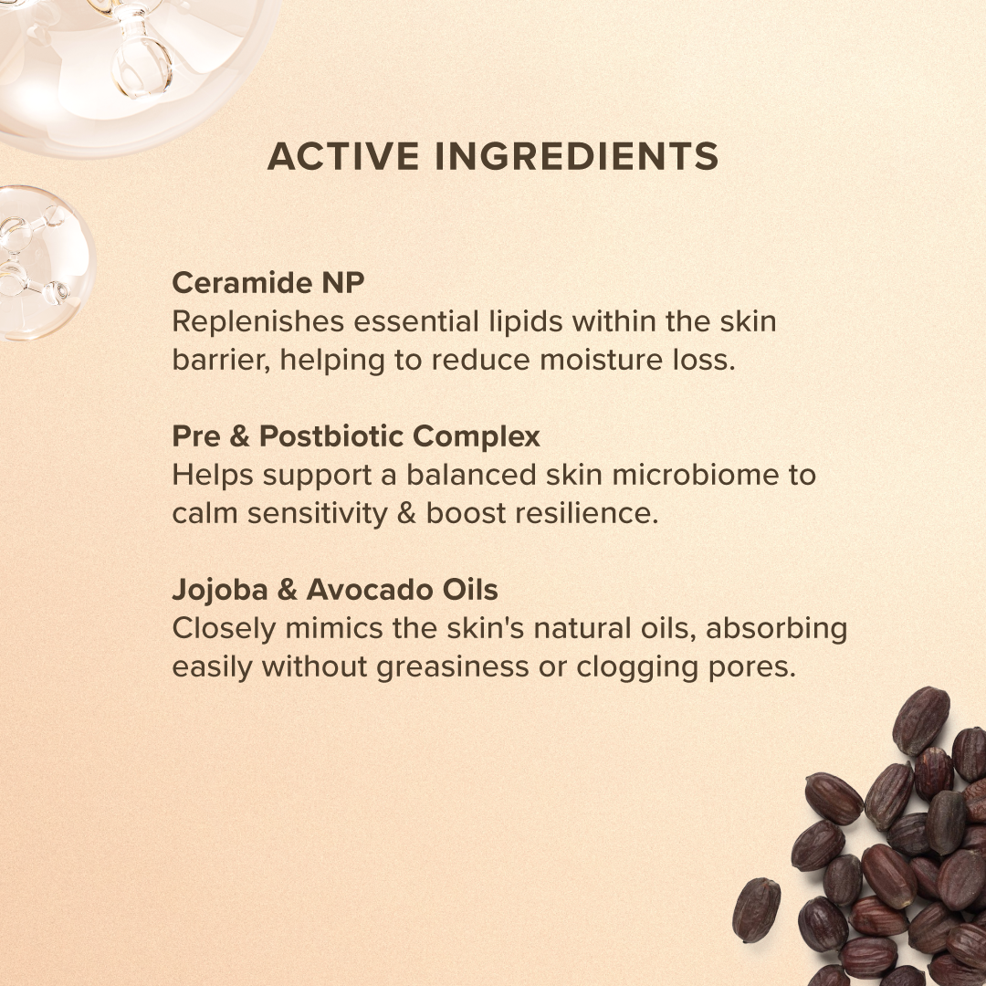 Moisture Renew Day Crème