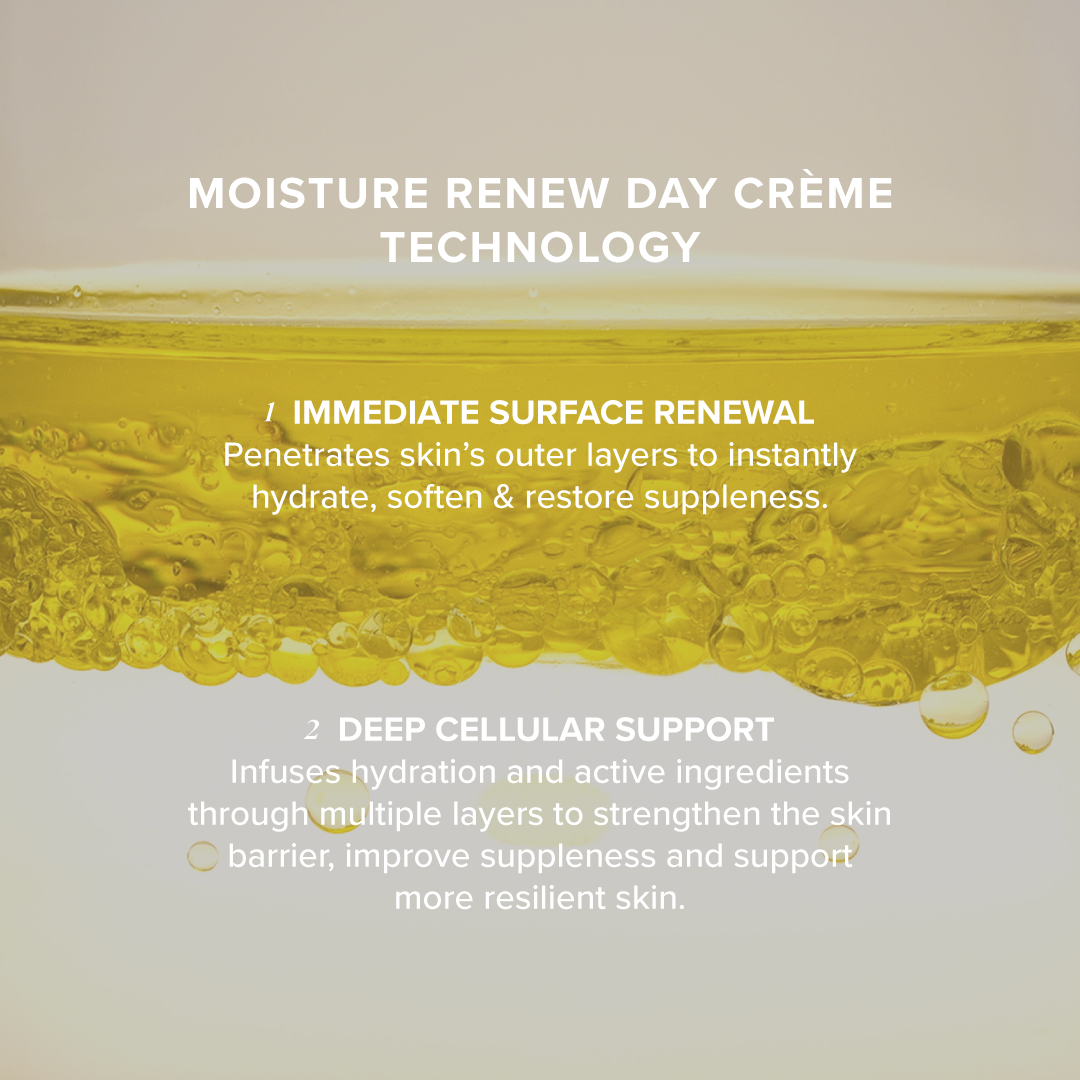Moisture Renew Day Crème